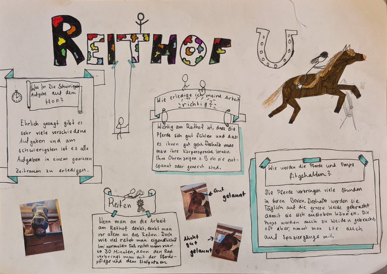 Poster zu einem Reithof mit Fotos, Zeichnungen und Antworten auf eigene Fragen.